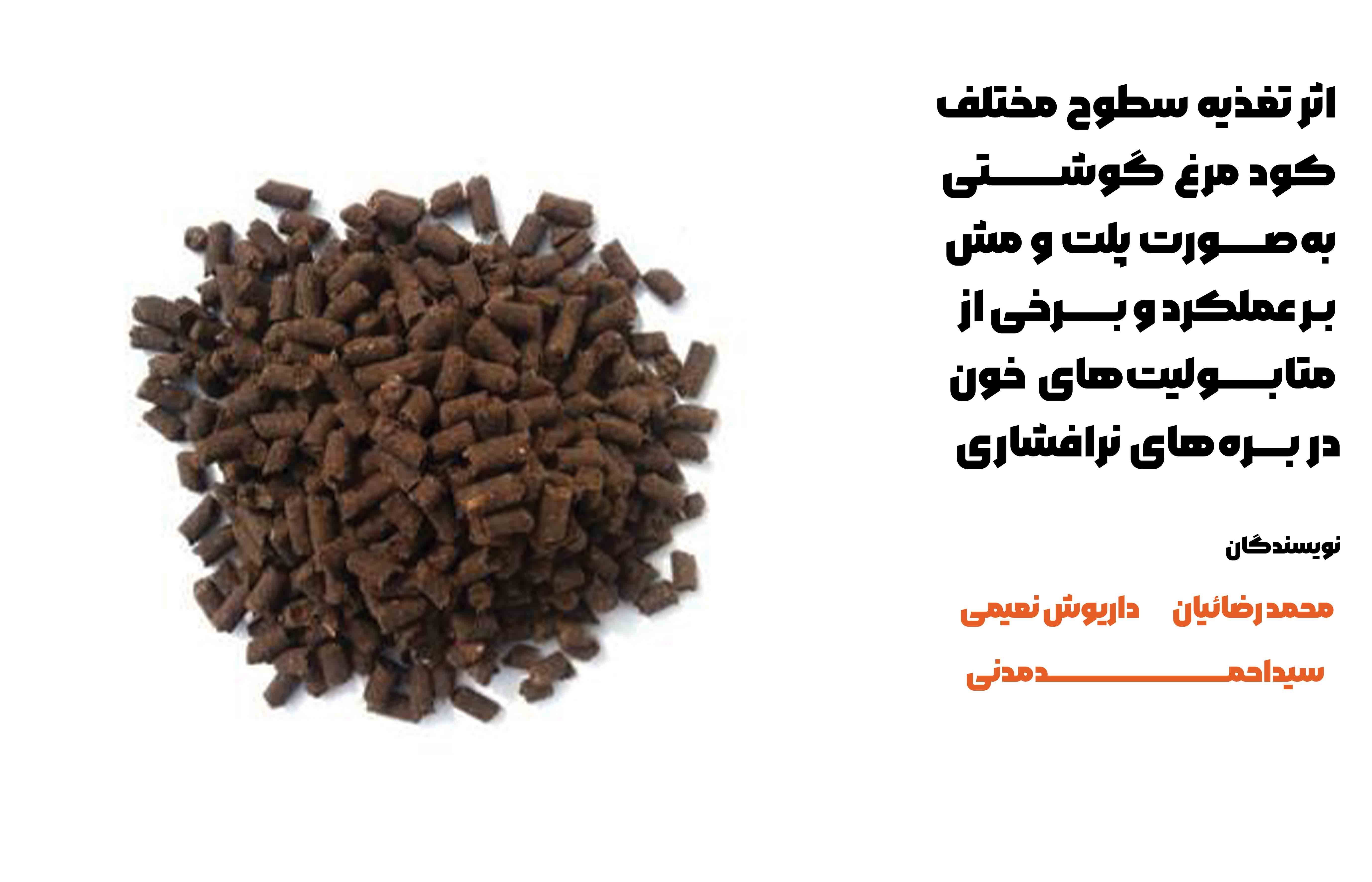 اثر تغذیه سطوح مختلف کود مرغ گوشتی به‌صورت پلت و مش بر عملکرد و برخی از متابولیت‌های خون در بره‌های نرافشاری: مطالعه تجربی