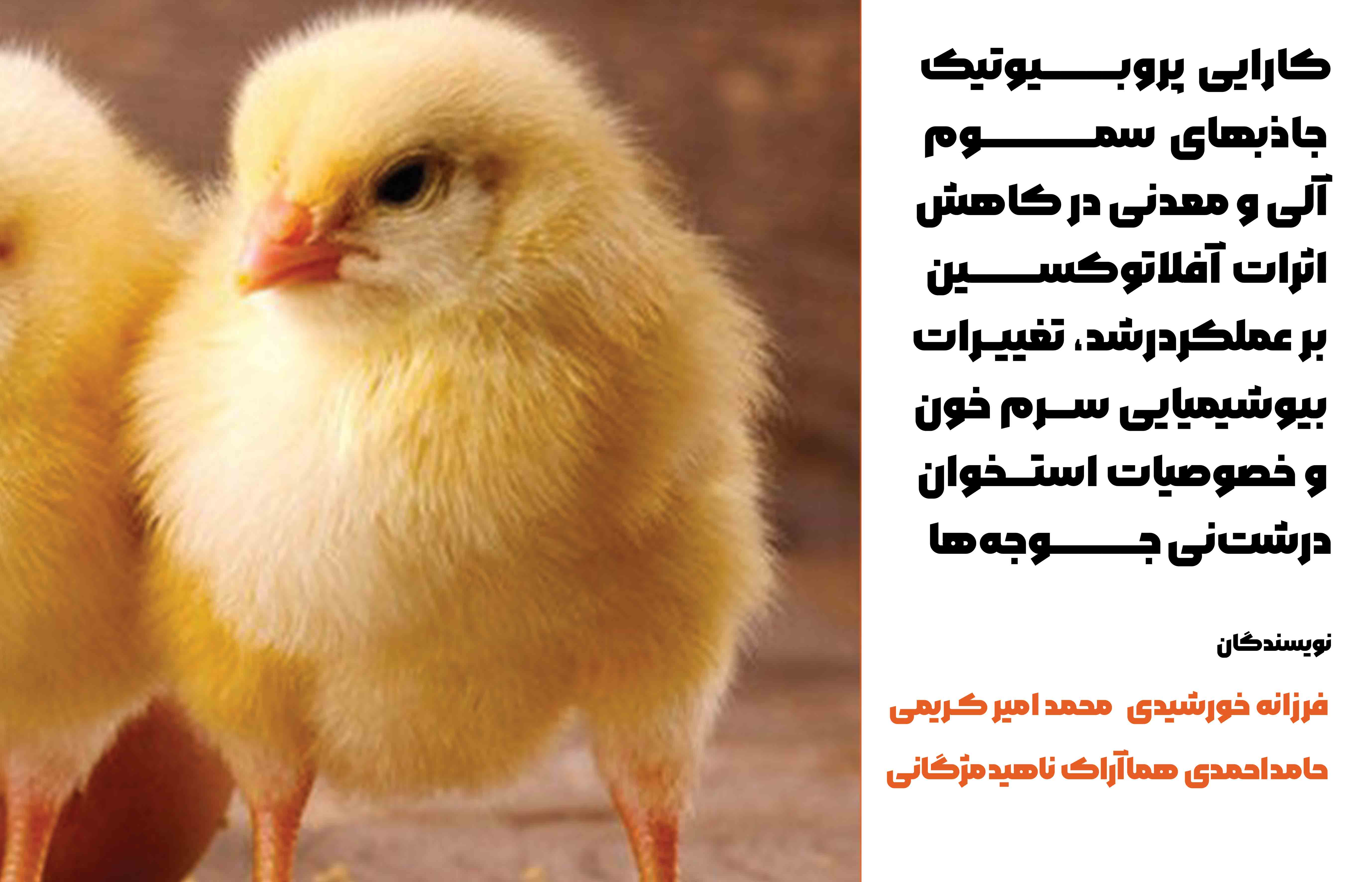کارایی پروبیوتیک و جاذب‎های سموم (آلی و معدنی) در کاهش اثرات آفلاتوکسین بر عملکرد رشد، تغییرات بیوشیمیایی سرم خون و خصوصیات استخوان درشت‌نی جوجه‌های گوشتی
