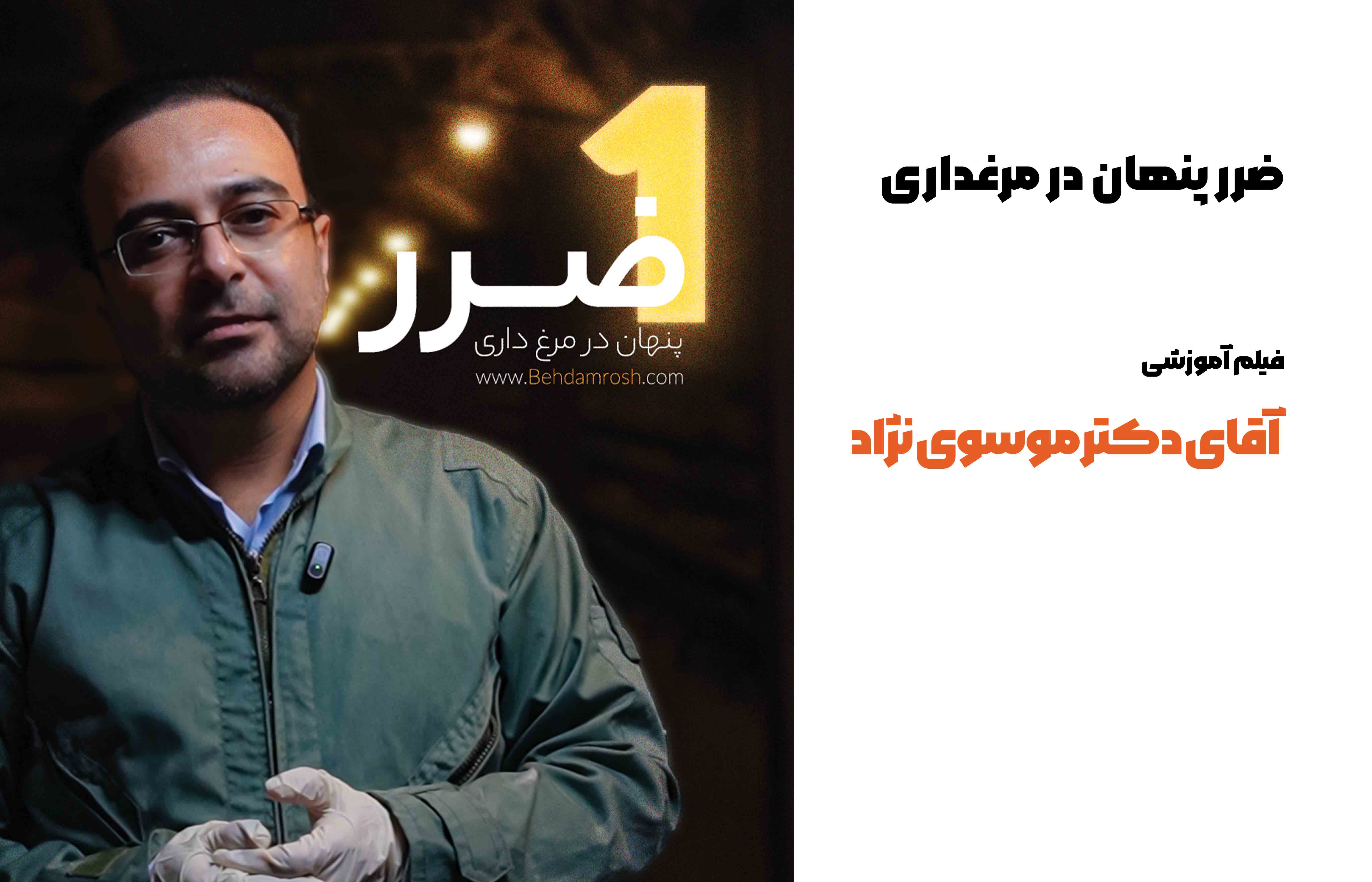 یک ضرر پنهان در مرغداری ها
