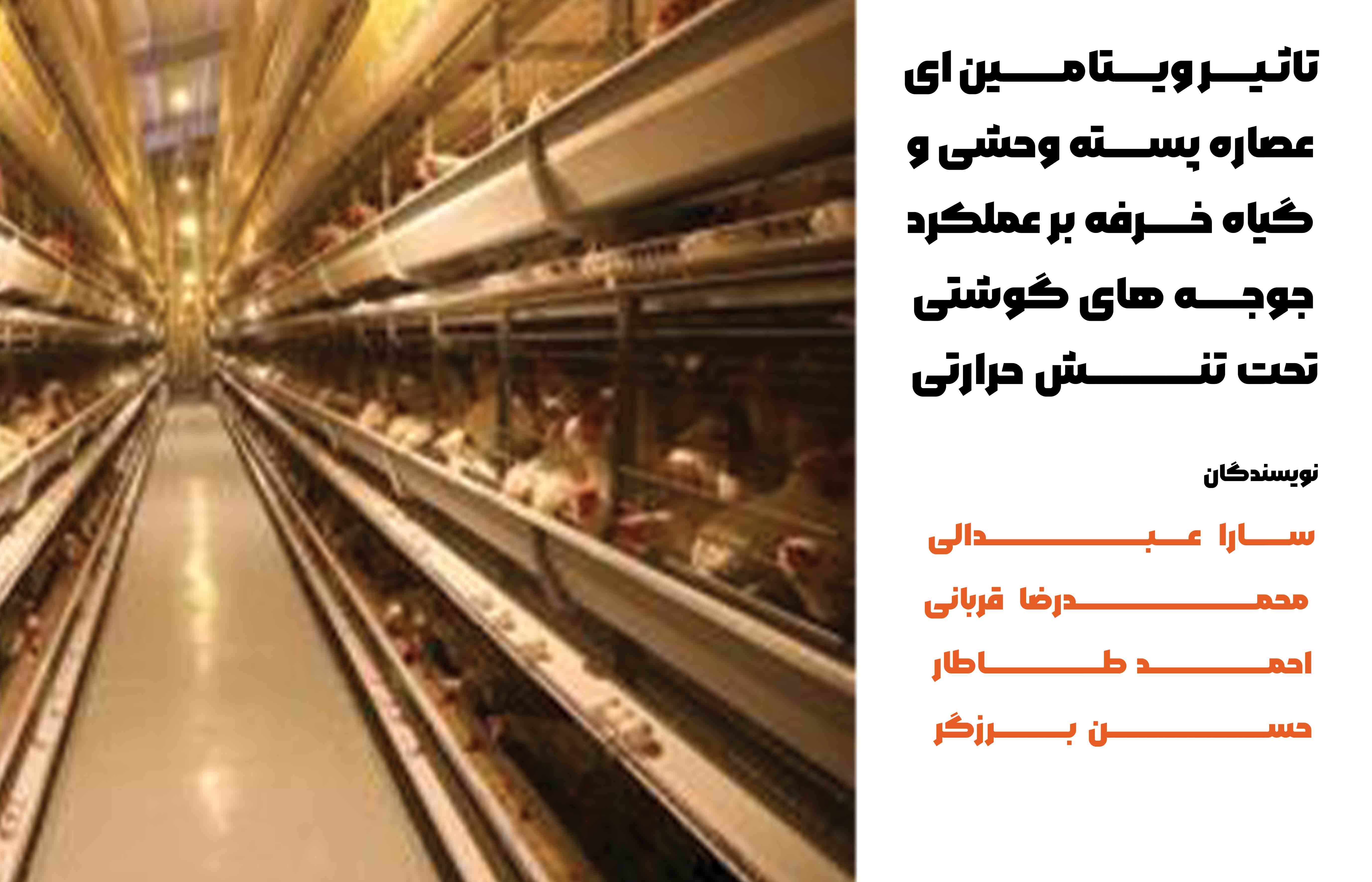 تأثیر ویتامین E، عصاره پسته وحشی و عصاره گیاه خرفه بر عملکرد جوجه ‎های گوشتی تحت تنش حرارتی