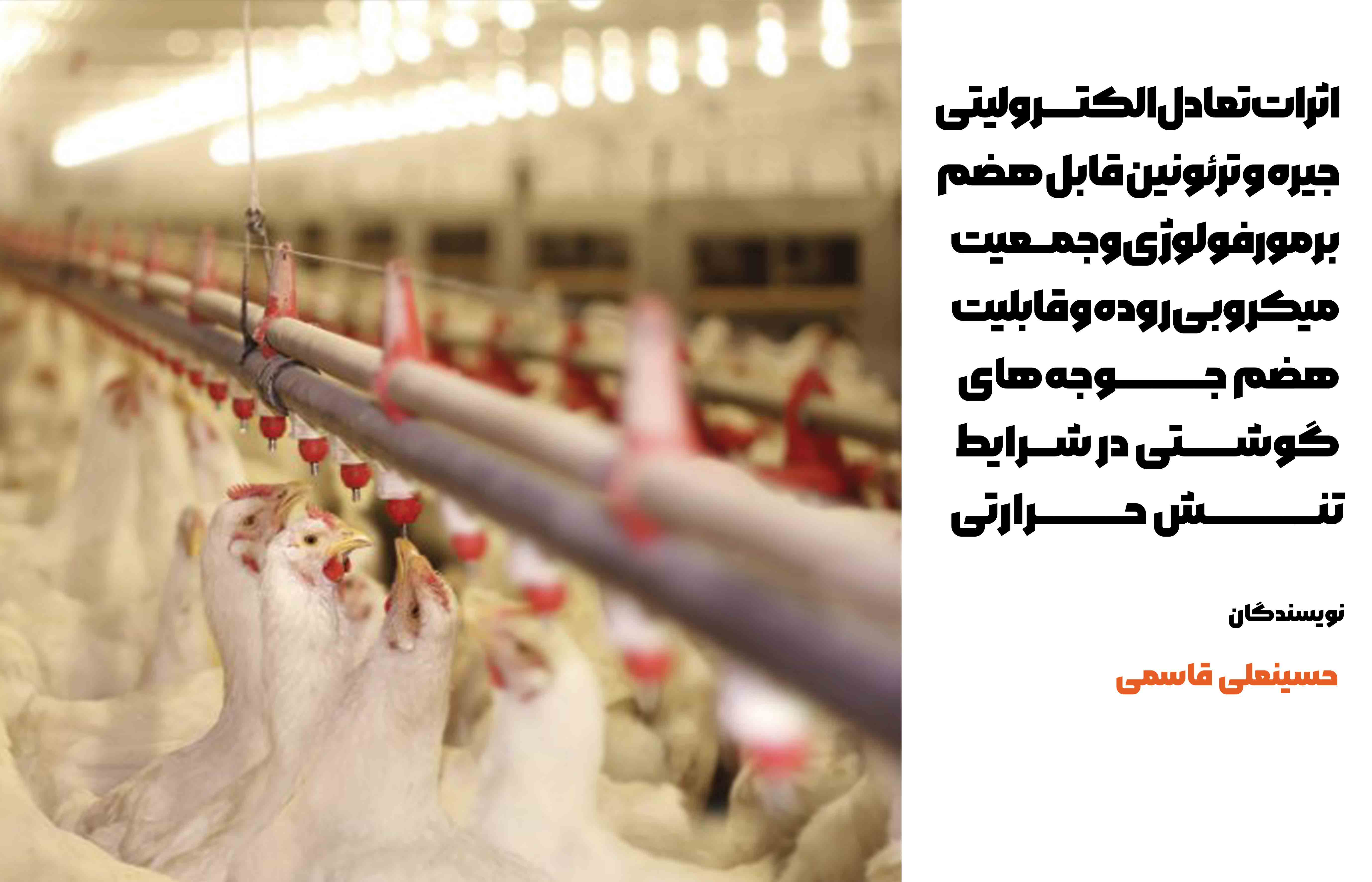 کاهش در سطح پروتئین، اسیدهای آمینه و یا تغییر در تعادل الکترولیتی جیره به عنوان راهکارهای مؤثر جهت جلوگیری از اثرات مضر تنش حرارتی در طیور پیشنهاد شده است.