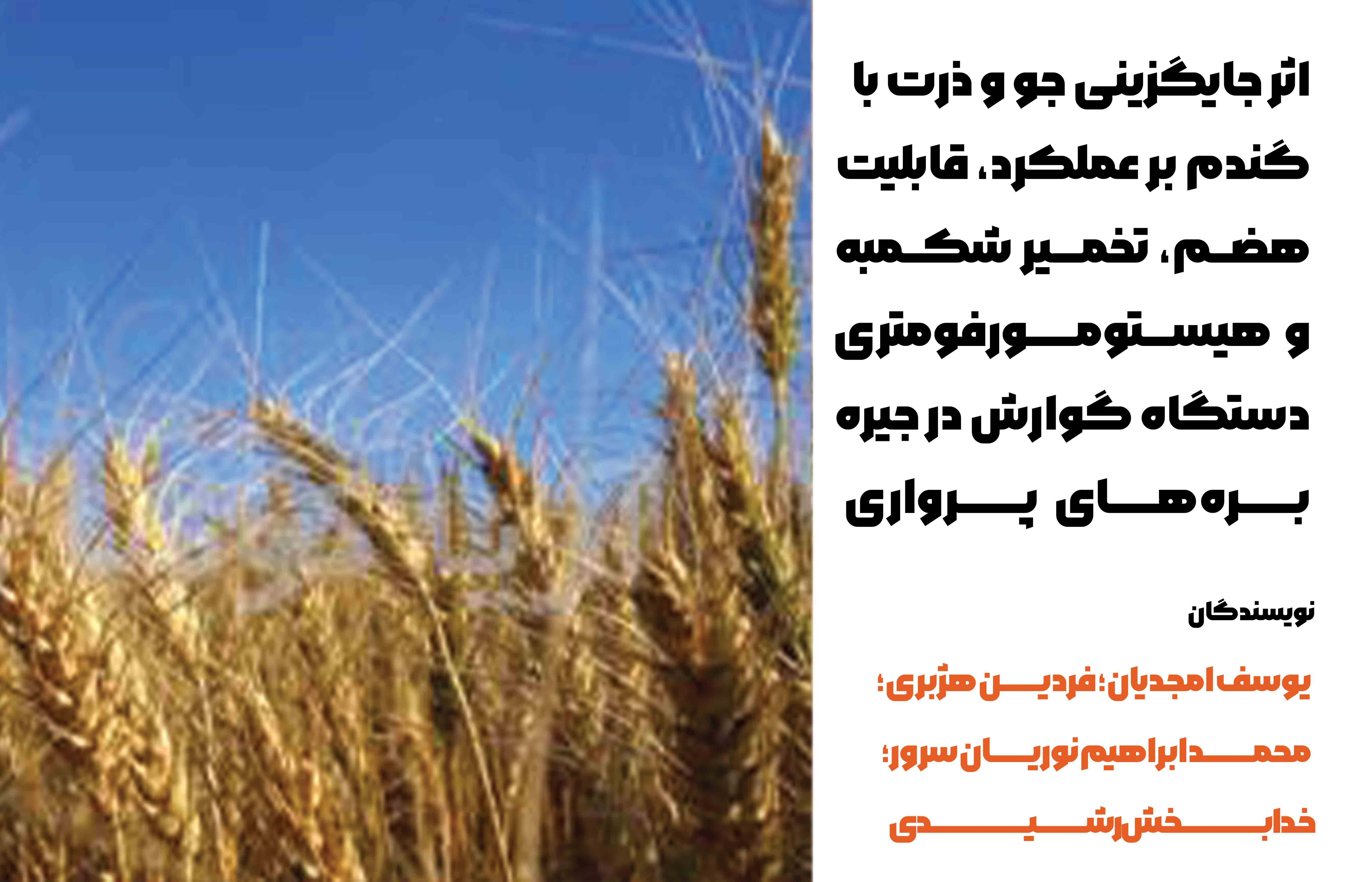 اثر جایگزینی جو و ذرت با گندم بر عملکرد، قابلیت هضم، تخمیر شکمبه و هیستومورفومتری دستگاه گوارش در جیره بره‌های پرواری