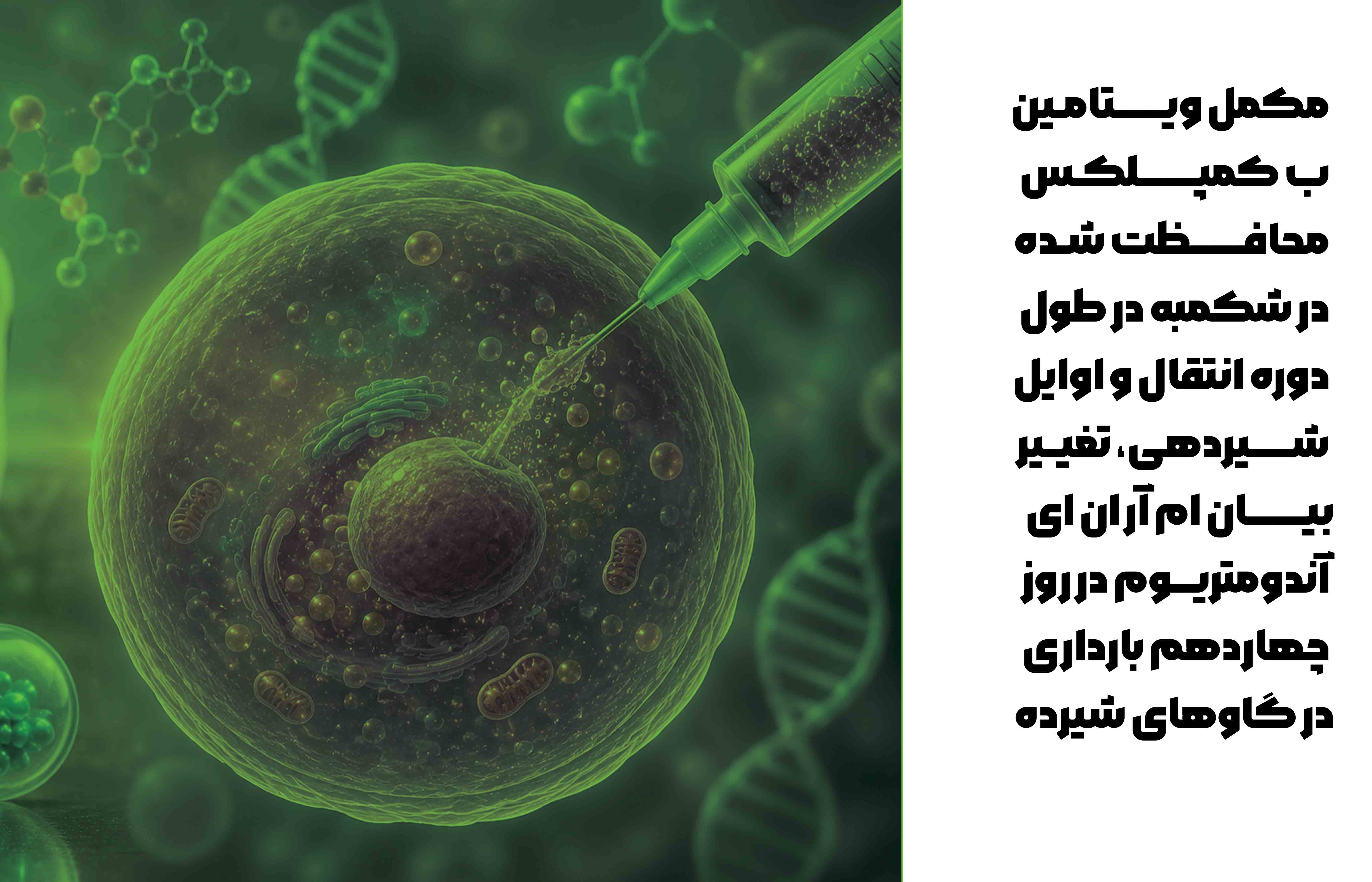 تغییر بیان mRNA آندومتریوم در روز چهاردهم بارداری در گاوهای شیرده