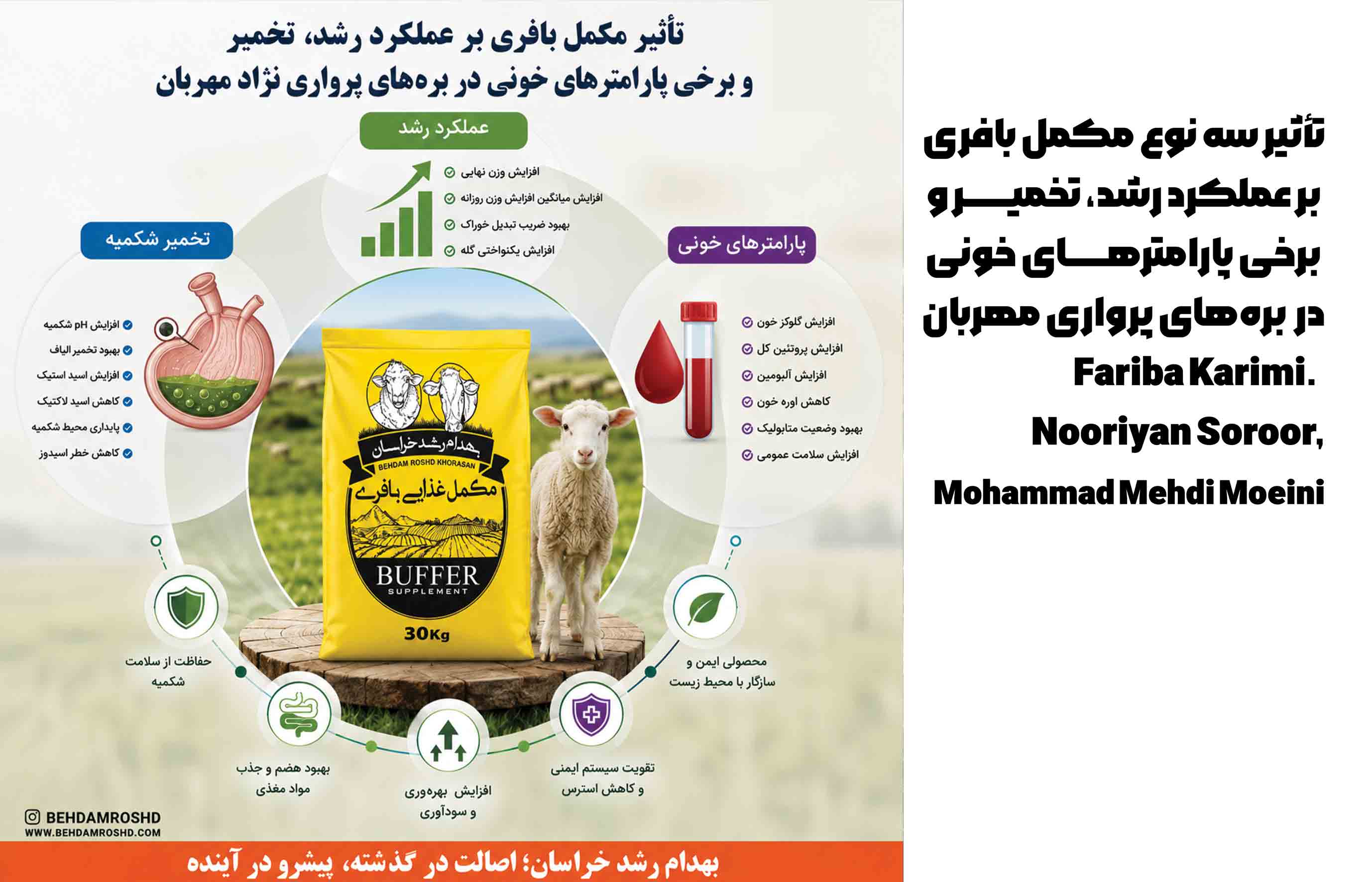 افزودن این مکمل‌های بافری به جیره‌های غنی از کنسانتره (۷۰٪)، در حفظ پایداری pH شکمبه و جلوگیری از افت آن به کمتر از ۶ واحد بسیار مؤثر بوده است