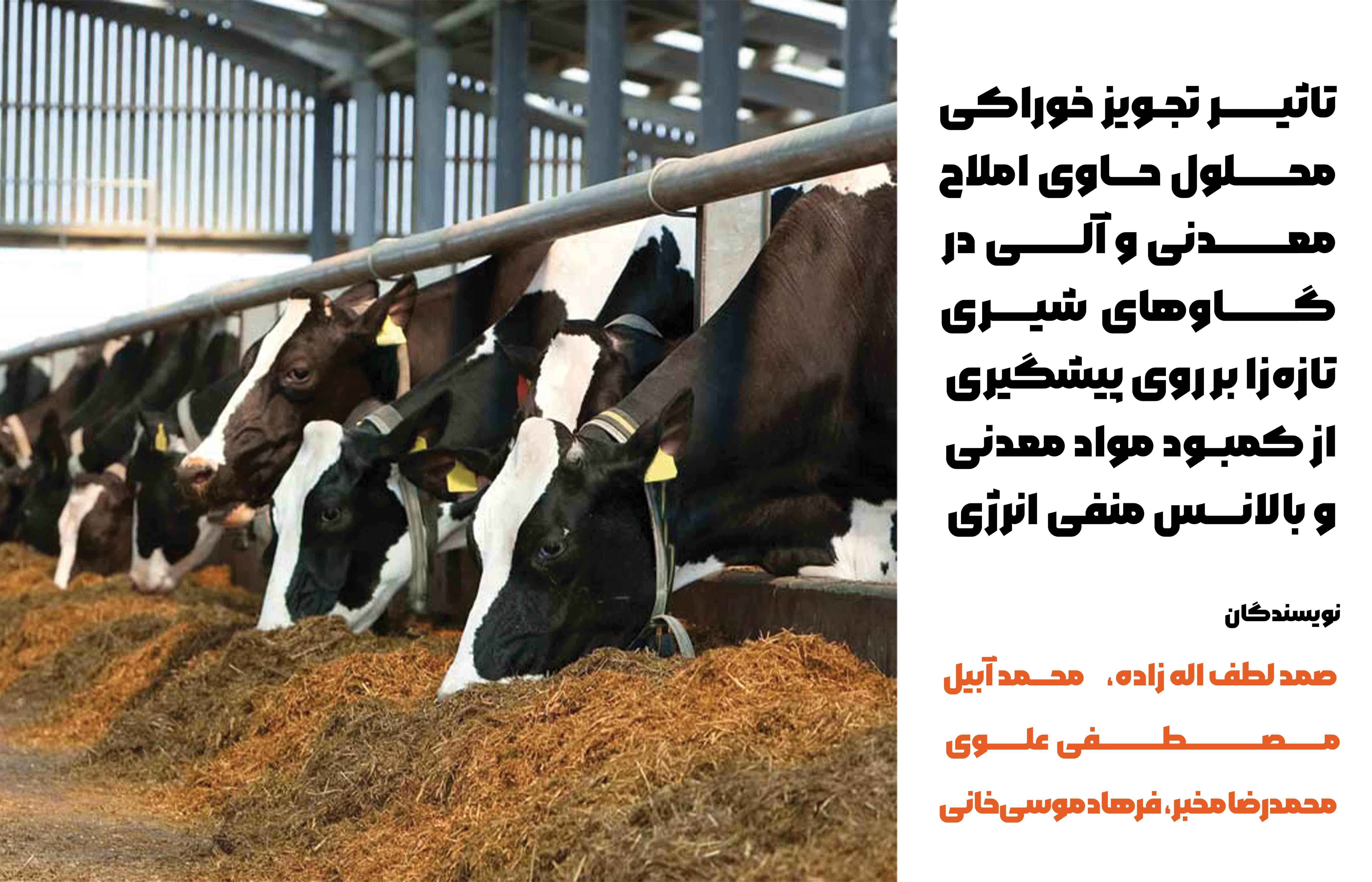کمبود املاح معدنی و بالانس منفی انرژی از مهمترین اختلالات متابولیک در ابتدای دوره شیردهی در گاو شیری می باشد. به جهت بررسی تاثیر تجویز خوراکی محلول حاوی املاح معدنی (کلسیم، فسفر و منیزیم) و ترکیبات آلی (پروپیلن گلیکول و نیاسین) ‌بر روی پیشگیری از کمبود این عناصر و بالانس منفی انرژی در گاوهای شیری تازه زا 30 راس گاو شیری در دوره انتقال مورد مطالعه قرار گرفتند. 