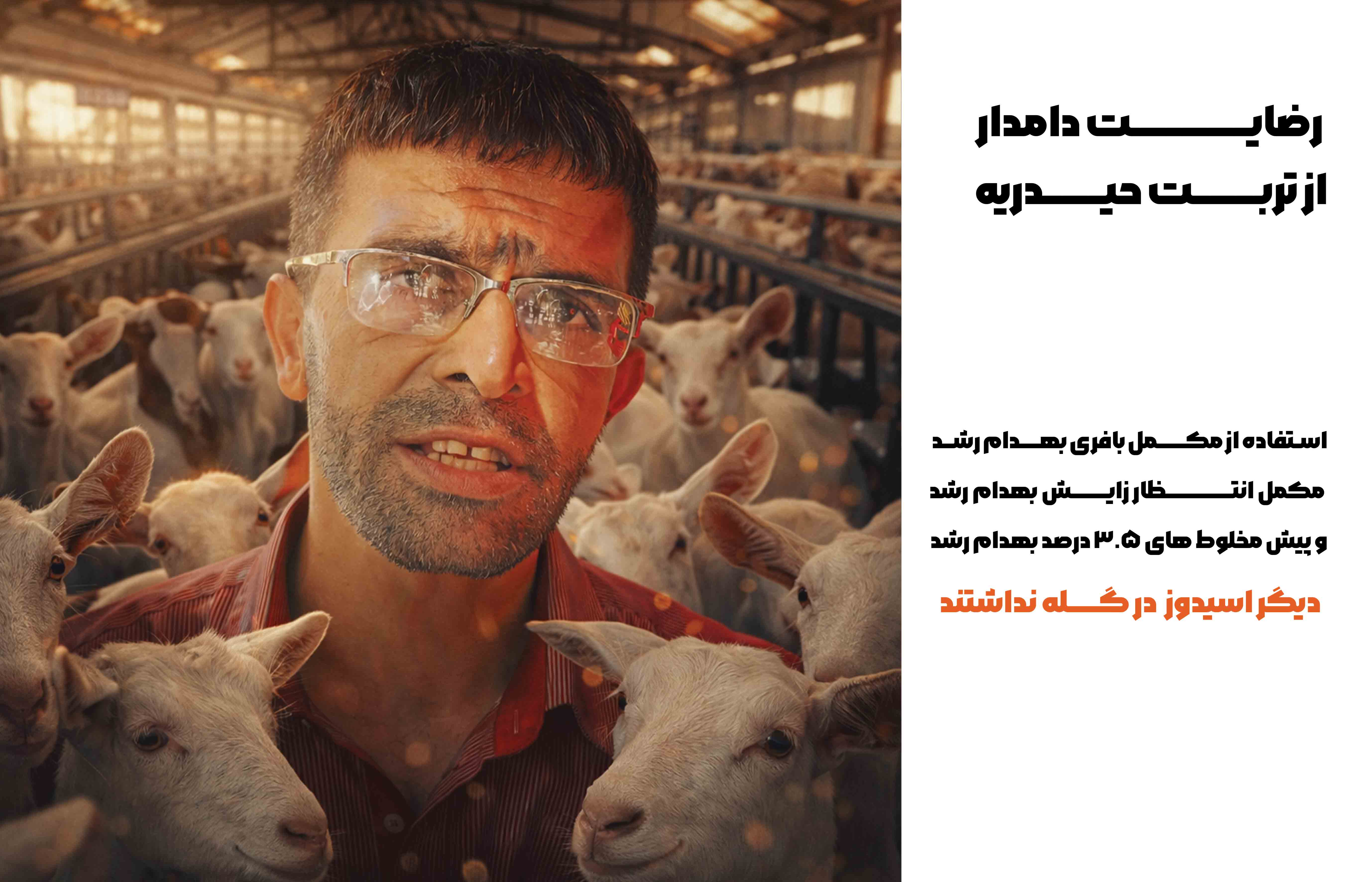 توضیحات عکس