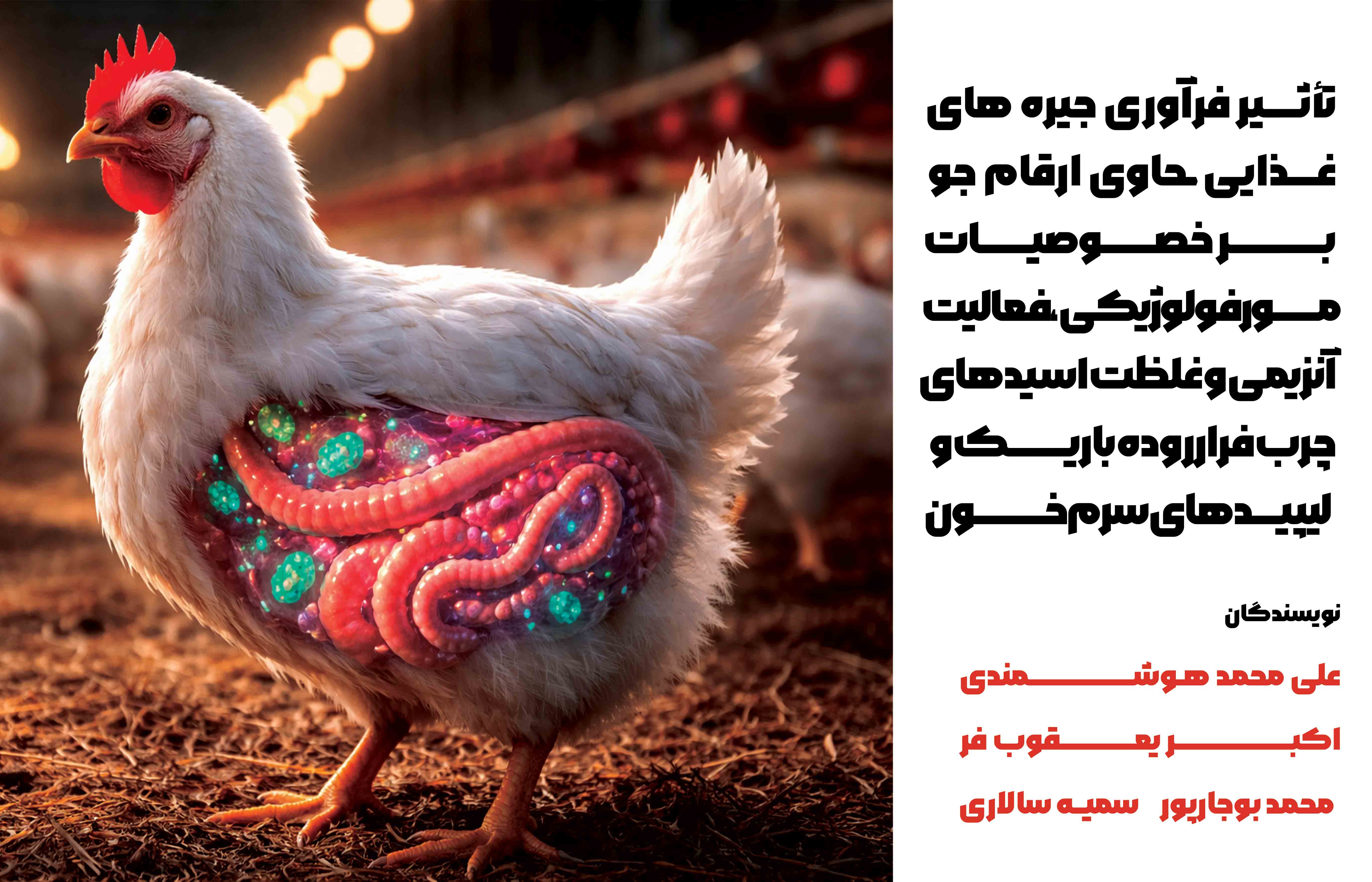 فعالیت آنزیمی و غلظت اسیدهای چرب فرار روده باریک و لیپیدهای سرم خون جوجه های گوشتی
